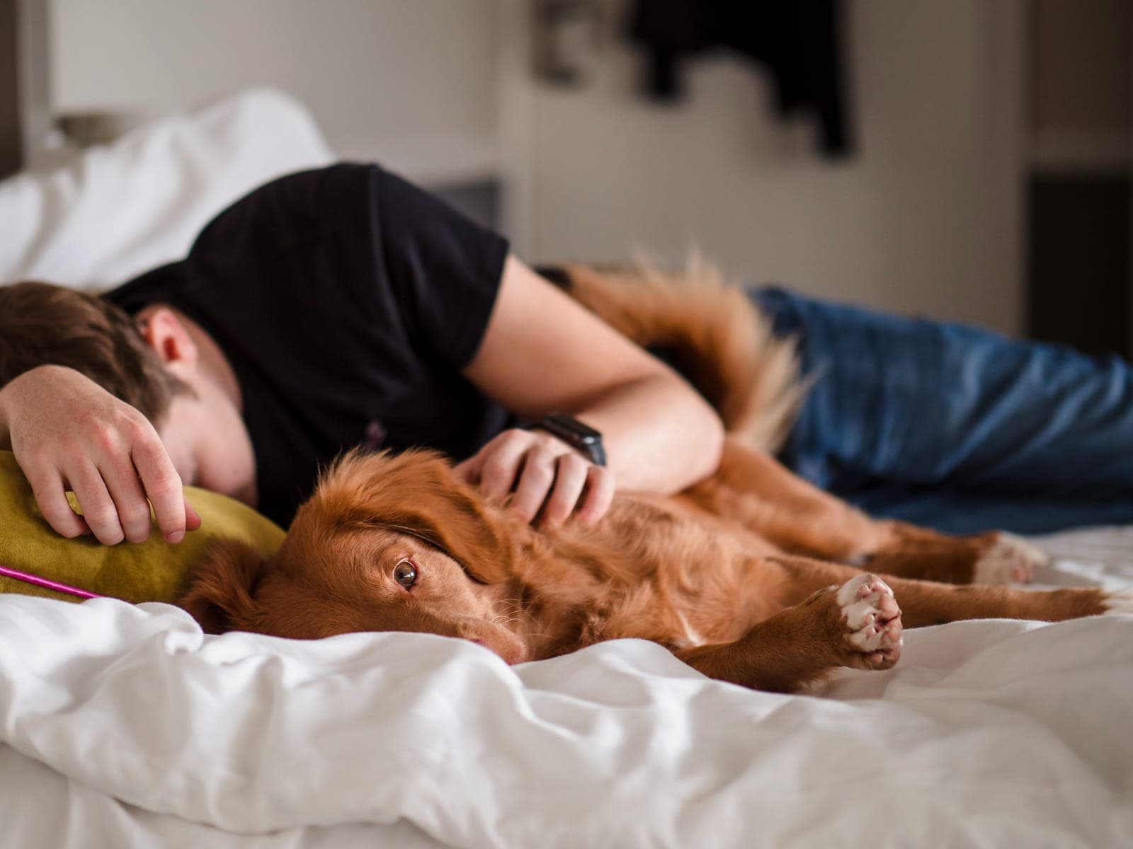 The fabric problem behind your 3am pelvis jolt: when Tencel sheets fight your roll